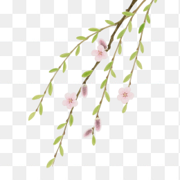 快图网原创手绘春天柳条植物