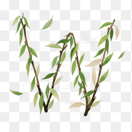 快图网原创手绘春天柳条植物