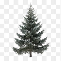 快图网原创AI松树