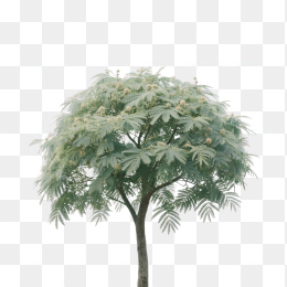 快图网原创AI合欢树