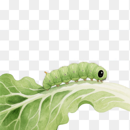 快图网原创手绘毛毛虫