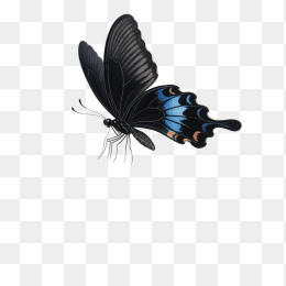 快图网原创手绘蝴蝶