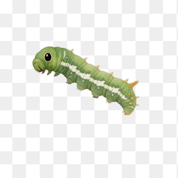 快图网原创手绘毛毛虫