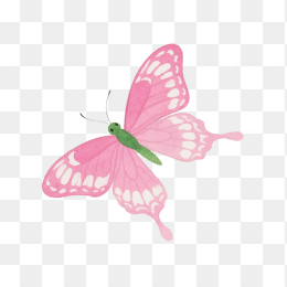 快图网原创手绘蝴蝶