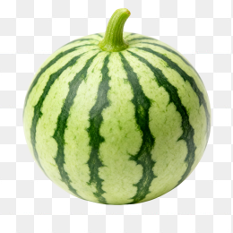 快图网原创小糖丸瓜