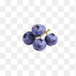 快图网原创蓝莓