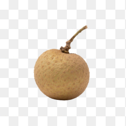 快图网原创龙眼