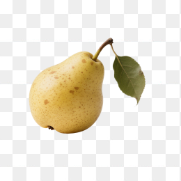 快图网原创雪梨