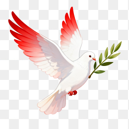 快图网原创和平鸽