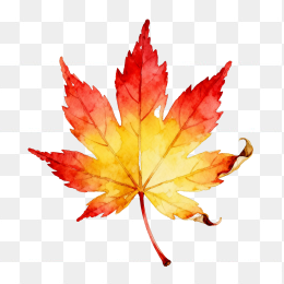 手绘枫叶