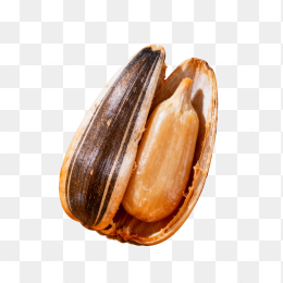 快图网原创高清瓜子广告