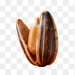 快图网原创高清瓜子广告