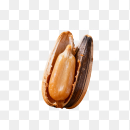 快图网原创高清瓜子广告