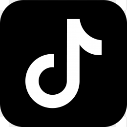 矢量tiktok logo
