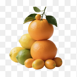 橙子柠檬