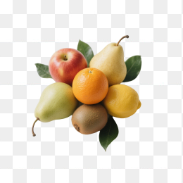 橙子梨子猕猴桃苹果