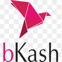 bKash Logo