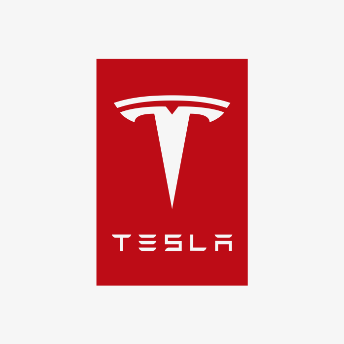 TESLR图标