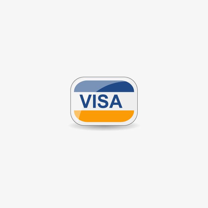 visa 支付标志