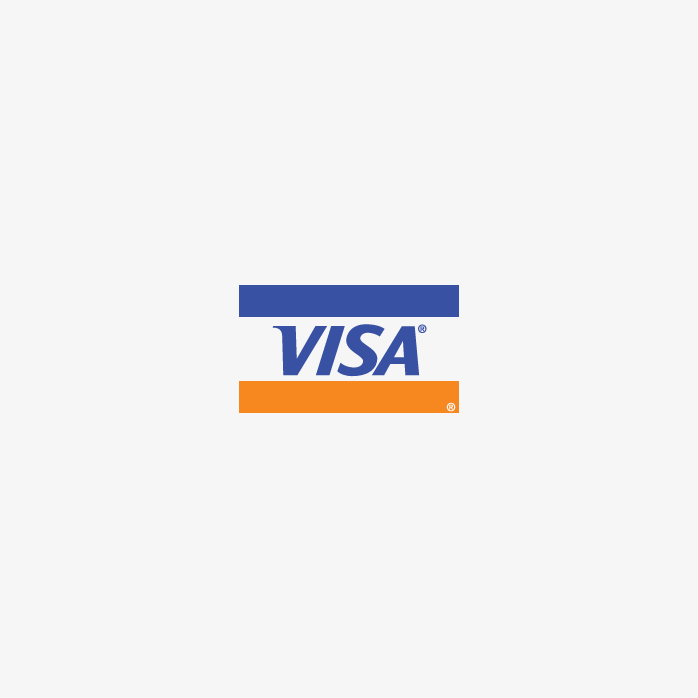 visa小图标