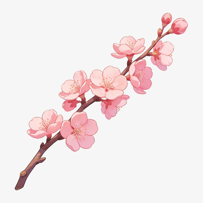 粉色梦幻樱花手绘插画