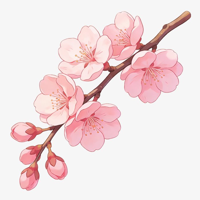 春日烂漫樱花手绘素材
