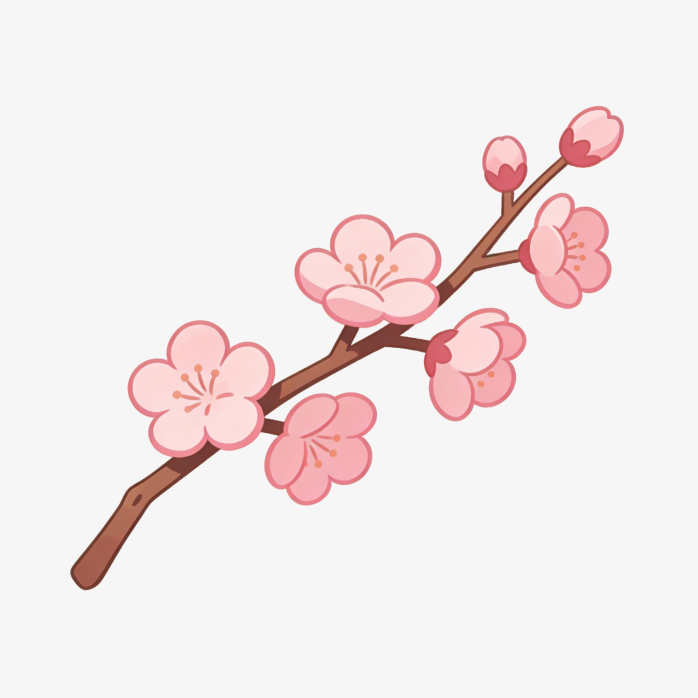 盛放樱花枝手绘素材
