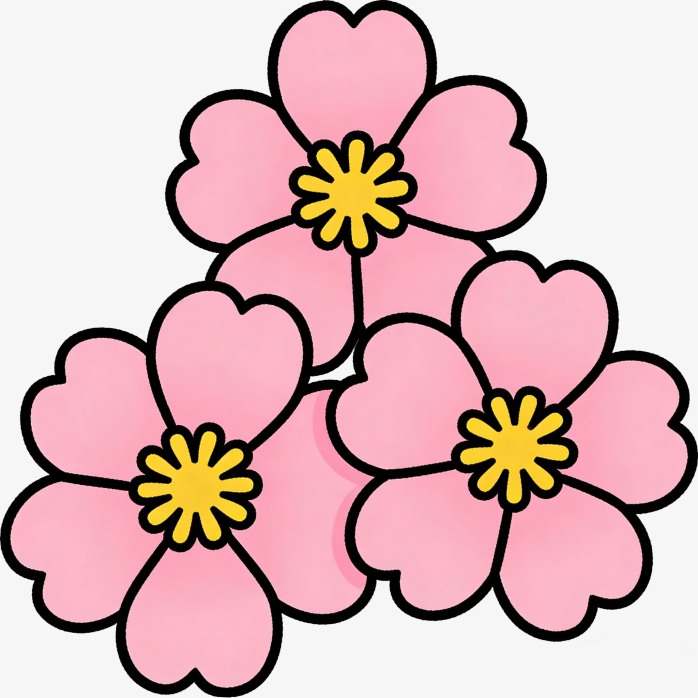 婀娜垂枝樱花手绘插画