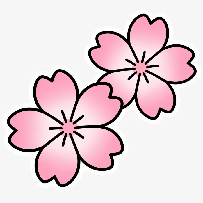樱花手绘插画