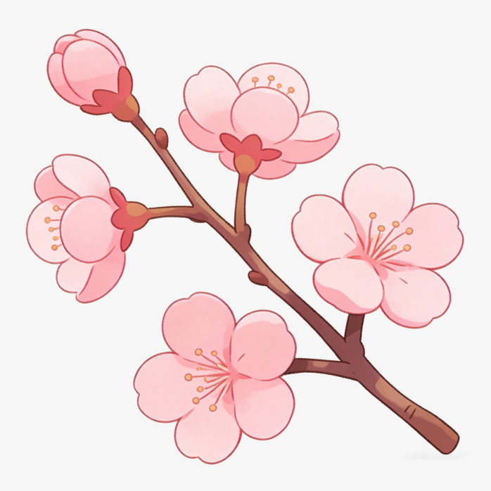 樱花枝头手绘插画