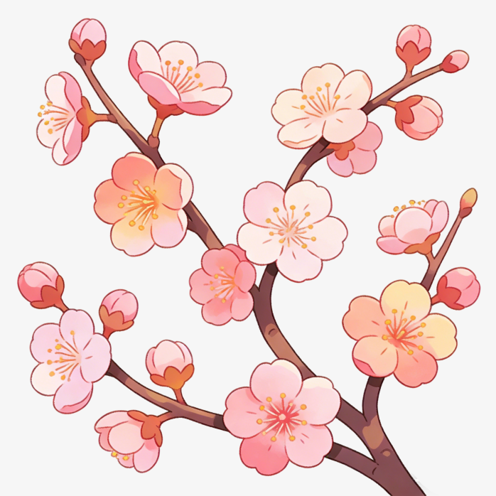 诗意樱花手绘插画
