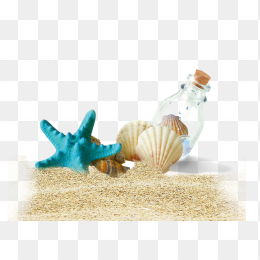 沙滩贝壳漂流瓶