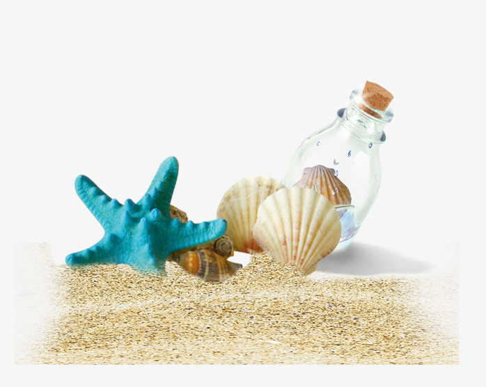 沙滩贝壳漂流瓶