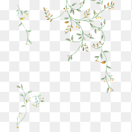 花藤