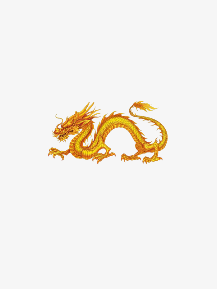 龙