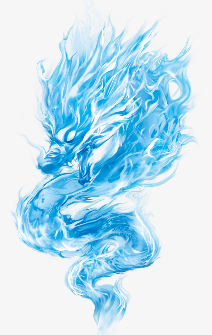 龙
