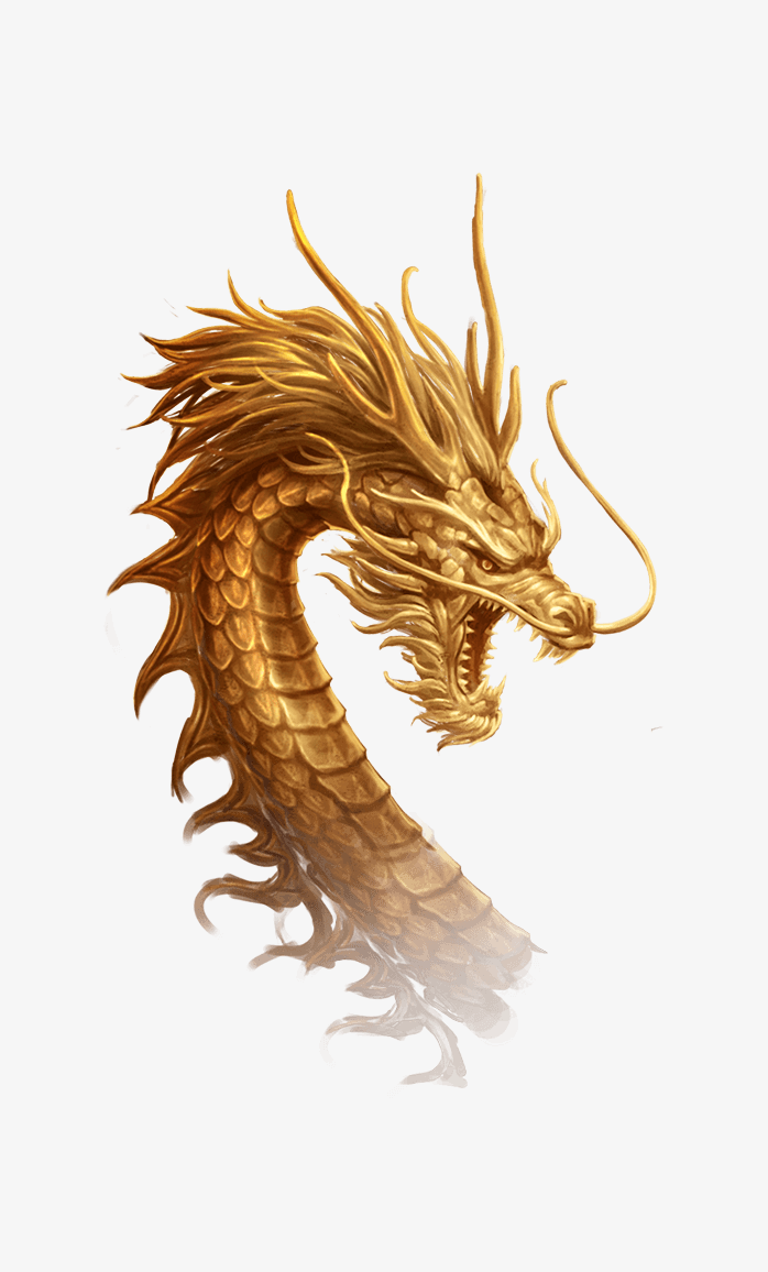 龙