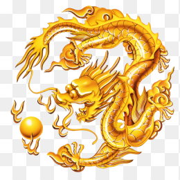 龙