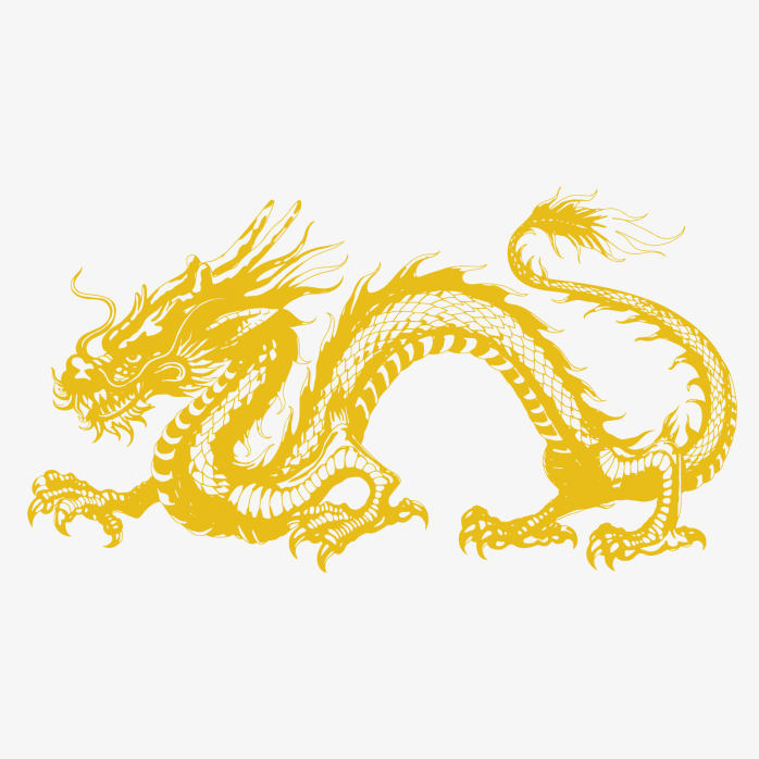 矢量龙