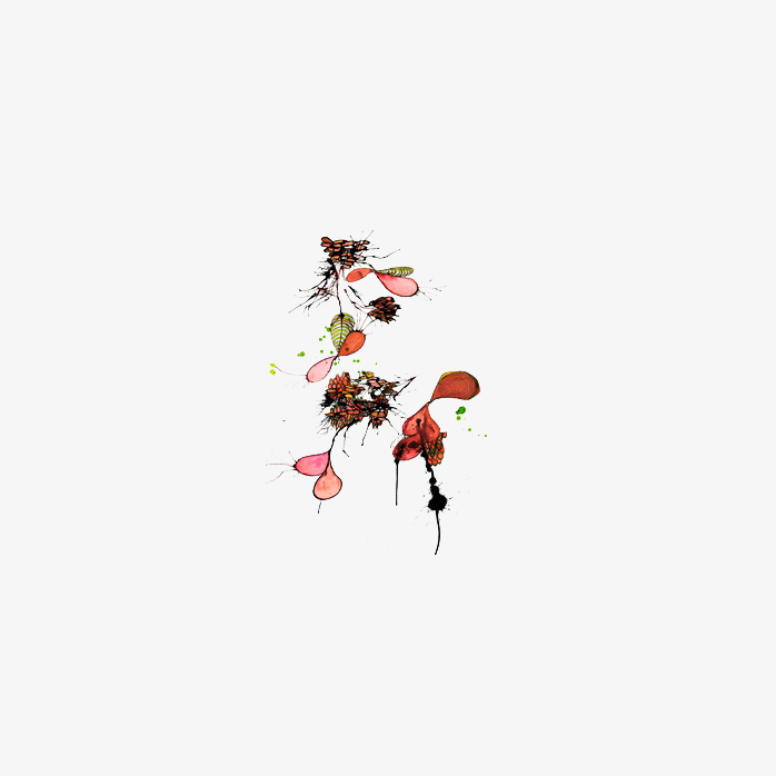 彩绘美丽花朵