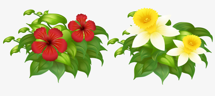 花草
