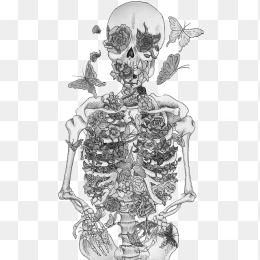 手绘素描骷髅