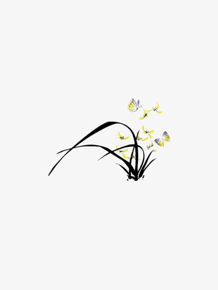 蝴蝶兰