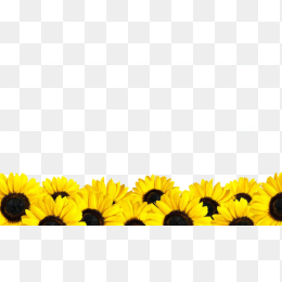 向日葵装饰