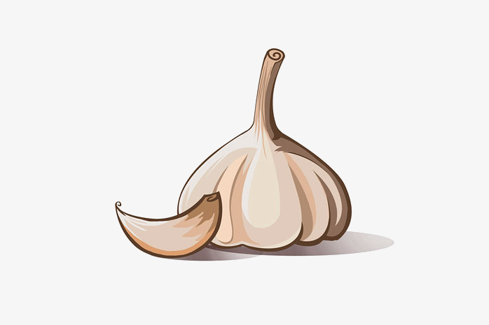 卡通大蒜