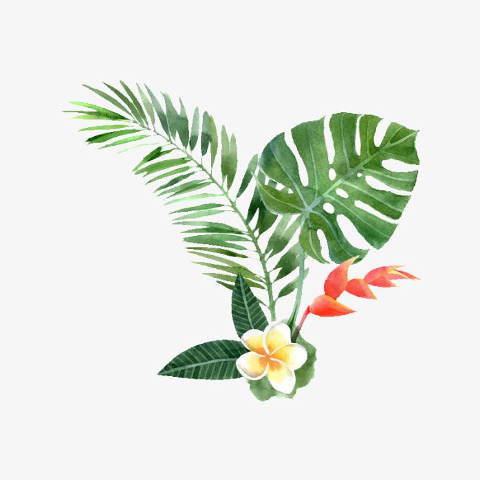 手绘树叶