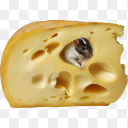 奶酪与老鼠