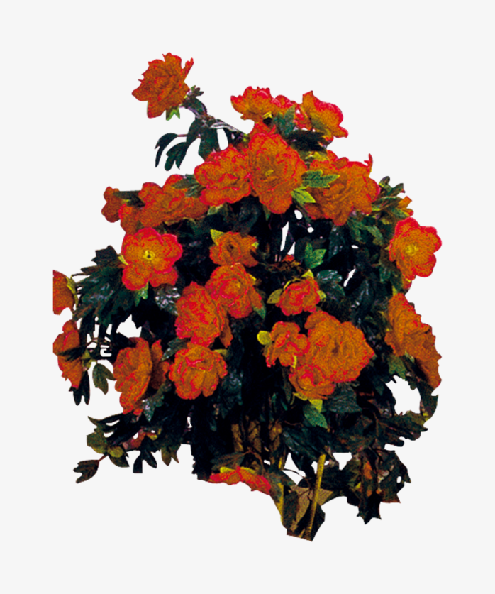 花束