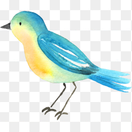 手绘小清新小鸟素材