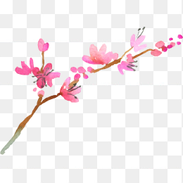 手绘小清新梅花素材